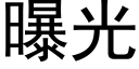 曝光 (黑体矢量字库)