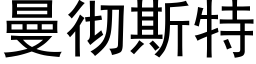 曼彻斯特 (黑体矢量字库)