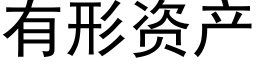 有形資産 (黑體矢量字庫)