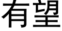 有望 (黑体矢量字库)