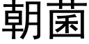 朝菌 (黑体矢量字库)