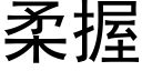 柔握 (黑體矢量字庫)