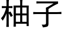 柚子 (黑體矢量字庫)