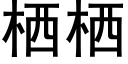 栖栖 (黑體矢量字庫)