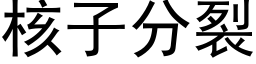 核子分裂 (黑體矢量字庫)