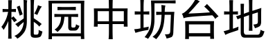 桃園中坜台地 (黑體矢量字庫)