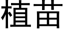 植苗 (黑体矢量字库)