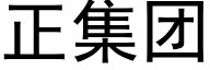 正集團 (黑體矢量字庫)