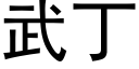 武丁 (黑體矢量字庫)