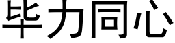 毕力同心 (黑体矢量字库)