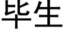 畢生 (黑體矢量字庫)