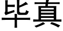 毕真 (黑体矢量字库)