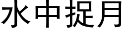 水中捉月 (黑體矢量字庫)