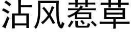 沾風惹草 (黑體矢量字庫)