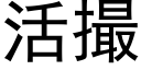 活撮 (黑体矢量字库)