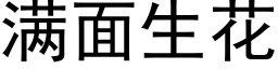 满面生花 (黑体矢量字库)