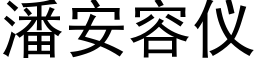 潘安容仪 (黑体矢量字库)