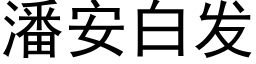 潘安白发 (黑体矢量字库)