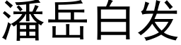 潘嶽白發 (黑體矢量字庫)