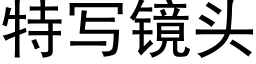 特寫鏡頭 (黑體矢量字庫)