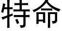 特命 (黑體矢量字庫)