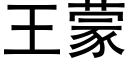 王蒙 (黑體矢量字庫)