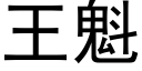 王魁 (黑體矢量字庫)