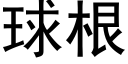 球根 (黑体矢量字库)