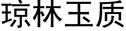 瓊林玉質 (黑體矢量字庫)