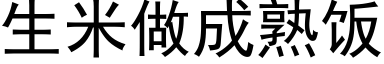 生米做成熟飯 (黑體矢量字庫)