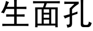 生面孔 (黑体矢量字库)