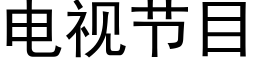 電視節目 (黑體矢量字庫)