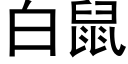 白鼠 (黑体矢量字库)