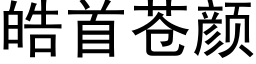 皓首苍颜 (黑体矢量字库)