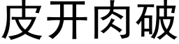 皮开肉破 (黑体矢量字库)