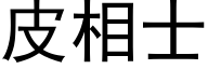 皮相士 (黑體矢量字庫)