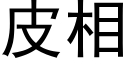 皮相 (黑体矢量字库)