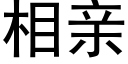 相亲 (黑体矢量字库)