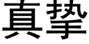 真摯 (黑體矢量字庫)