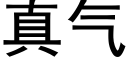 真氣 (黑體矢量字庫)