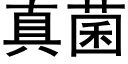 真菌 (黑体矢量字库)