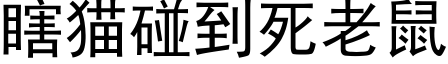 瞎猫碰到死老鼠 (黑体矢量字库)