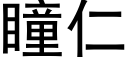 瞳仁 (黑体矢量字库)