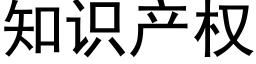 知識産權 (黑體矢量字庫)