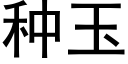 种玉 (黑体矢量字库)