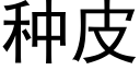 种皮 (黑体矢量字库)