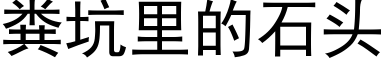 粪坑里的石头 (黑体矢量字库)