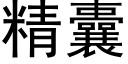 精囊 (黑體矢量字庫)