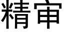 精審 (黑體矢量字庫)