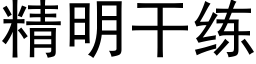 精明干练 (黑体矢量字库)